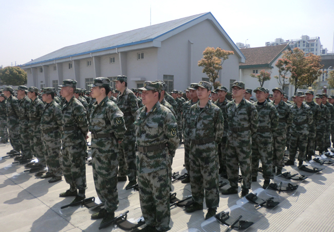 公司介绍